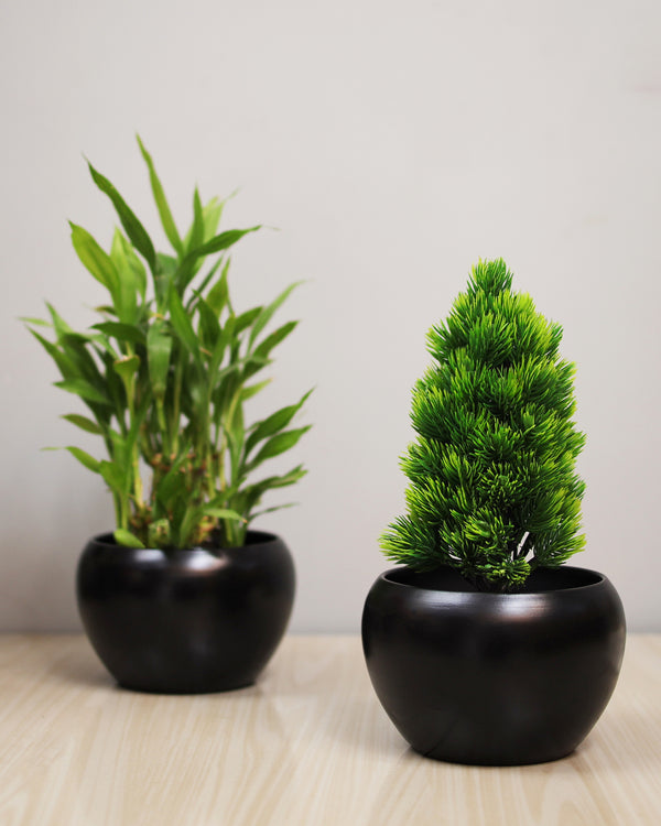 Mini Pot Garden™ Matte Black Round Planter Set | Minimal Indoor Plant Pots | Modern Tabletop Décor